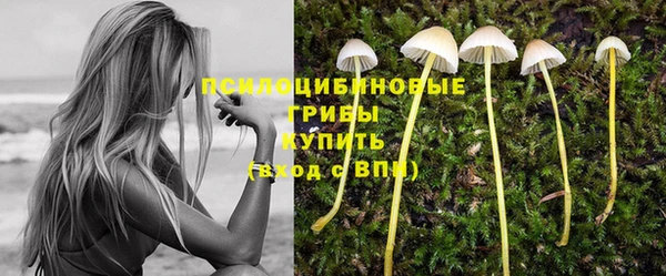 сатива Балабаново