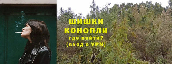 сатива Балабаново
